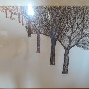 Autumn Trees Framed Print